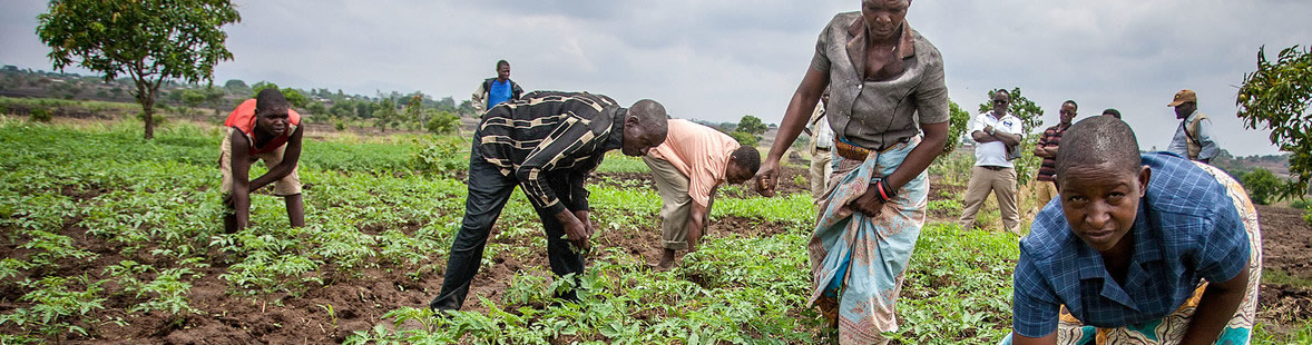 Legal Aid in Civil Cases