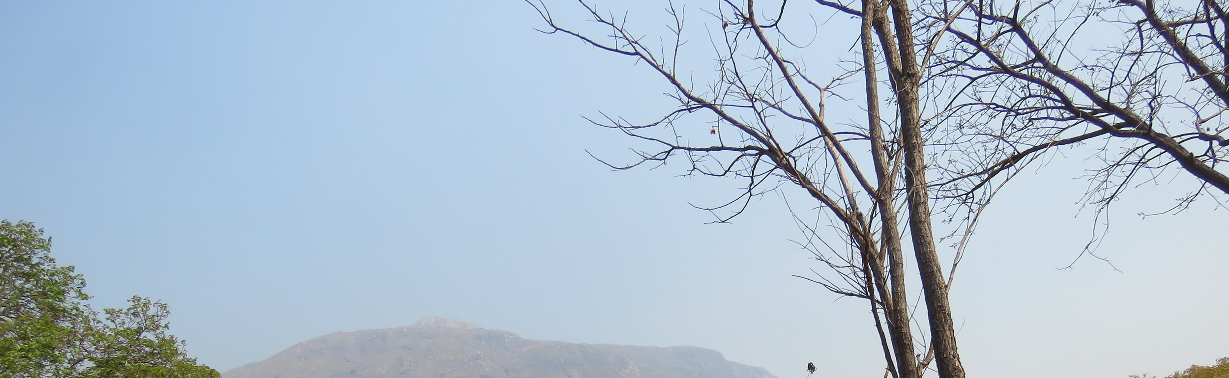 Partners and Affiliations